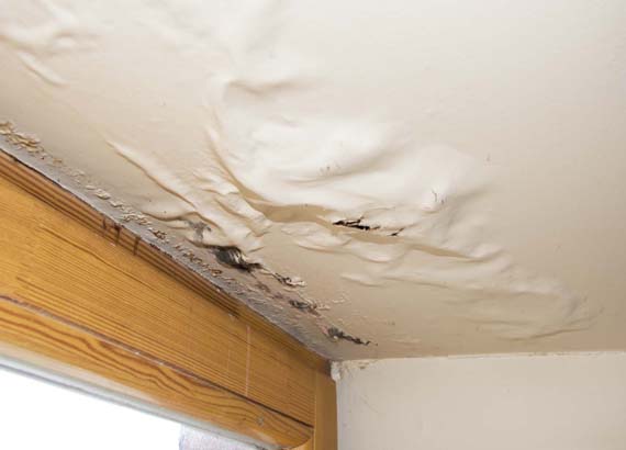 Urgence fuite de toiture 33